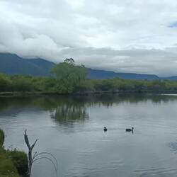 Glenorchy Lagoon