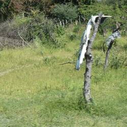 einpaar kreativ gestaltete "Wegweiser"