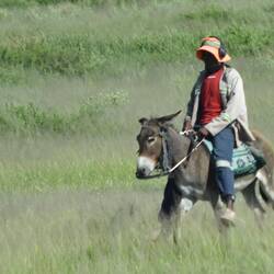 es gibt keine Velos ...
