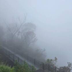 And this is what we saw. 🤷‍♀️