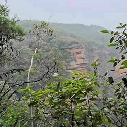 This part of the trail is the cliff edge.