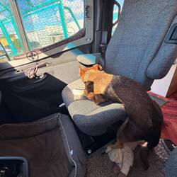 Die Schlafstellungen werden nicht besser