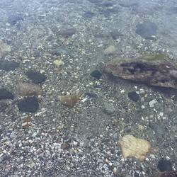 ...mit glasklarem Wasser