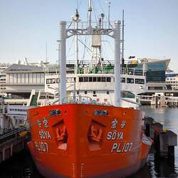 die Sōya, ein ehemaliges Forschungsschiff der japanischen Antarktis-Expeditionen
