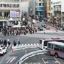 Shibuya Crossing