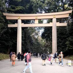 Tor zum Meiji-Schrein