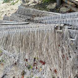 Thatch panels, but they've been here a while