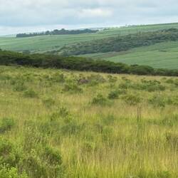 Wer findet die Nashörner 🦏