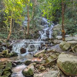 Luckily Thailand has plenty of other reasons to visit