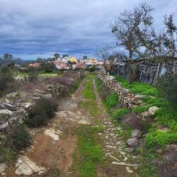Pereiro