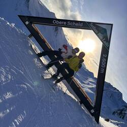 Sonnenanbeter ☀️