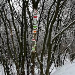 Back in civilisation.