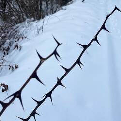 Makes me think of the book. Assering ones boundaries.