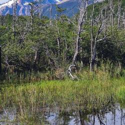 Wanderung zur Laguna Diablo