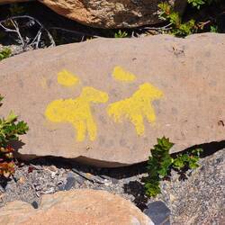 Huemul - der Südandenhirsch - wird vermarktet, aber selten gesehen.
