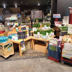 Sake in allen Varianten und zu allem Preisen