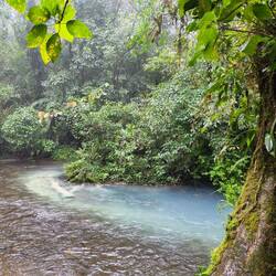 Rio Celeste... Irgendeine Sauerstoff-phWert-Mineralien-Geschichte färbt das Wasser zum Teil blau