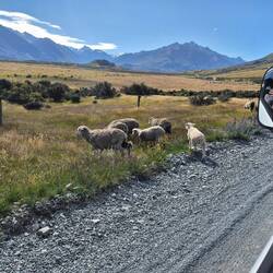 Einmal kurz zum Mount Sunday, dann zum Campingplatz