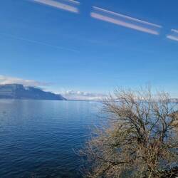 Lake Geneva