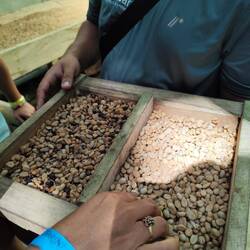 Links Qualität 2. Klasse, rechts 1. Klasse