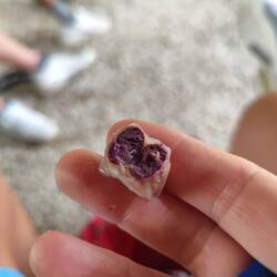 Kakaobohne vor dem Rösten