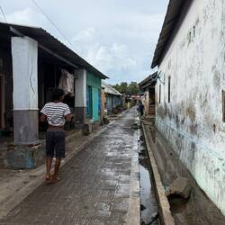 Our 'guide' leading us inland