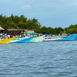 A fleet of graceful and well cared for boats. The homes don't get the same care