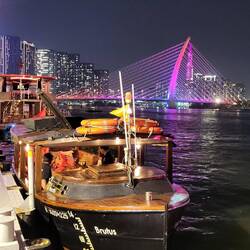 Brutus, encore un écorché ❤️‍🩹