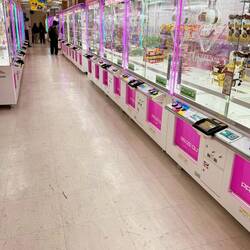 Gewinne Lebensmittel