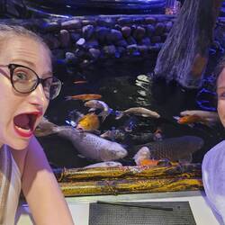 Si on regarde bien sur la gauche : un air de ressemblance avec la carpe