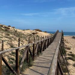... davor machen wir Mittagspause an einem schönen Strandabschnitt hinter La Mata