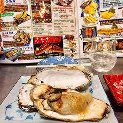 Da ist sie, meine leckere Riesenauster