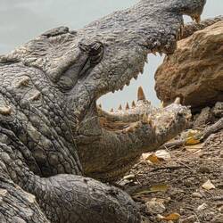 I need at least three juicy children today!!!!!