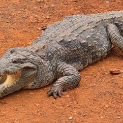 Oh my god I am hungry!