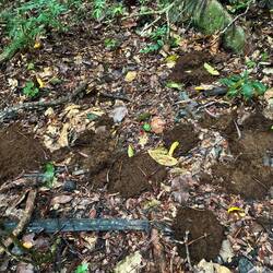 Allerdings muss man am Boden auch auf die Hinterlassenschaften derer achten, die man sucht