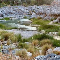 Wadi Al Arbeieen