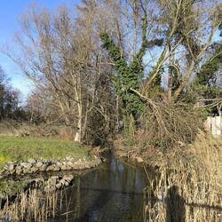 Mündung kleine Pleiße in den See