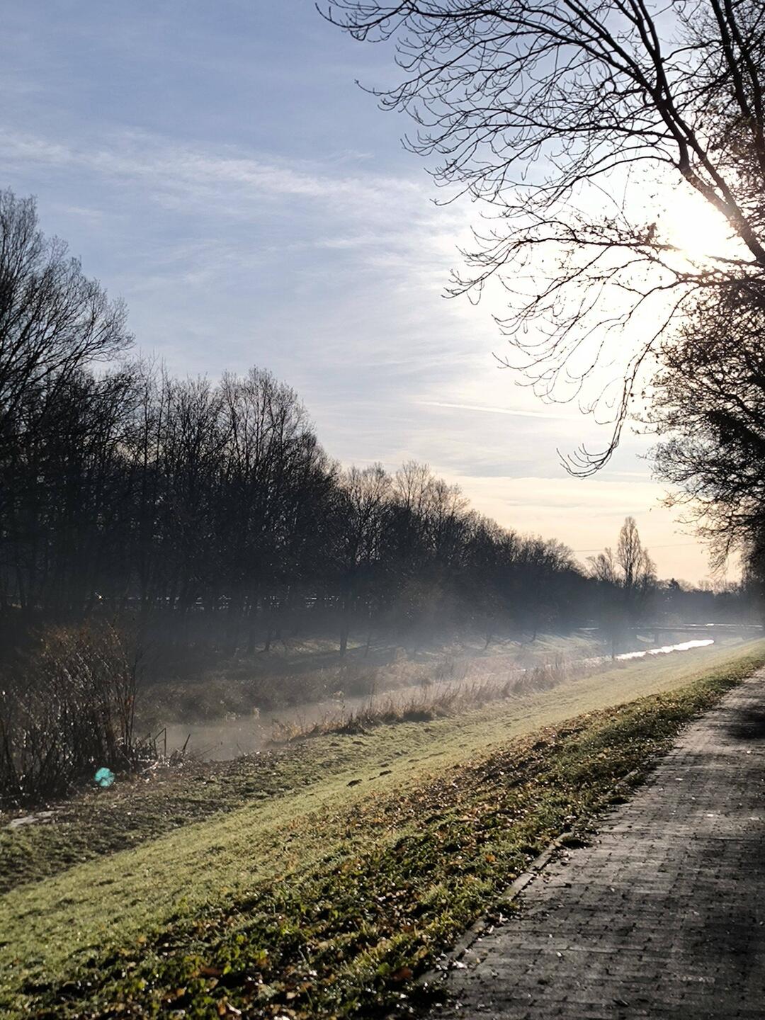 Nebel über der Pleiße