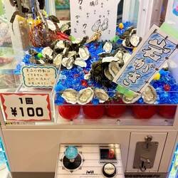 Muscheln im Automaten ziehen