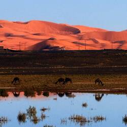 Mehr Sonne, mehr Spiegelung