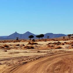 Ramlia eine Oase auf unserer Tour