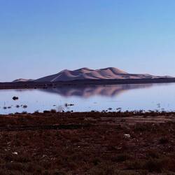 Morgendliche Spiegelung