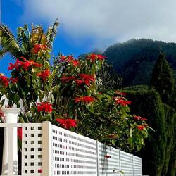 auf den letzten Kilometern zum Aussichtspunkt