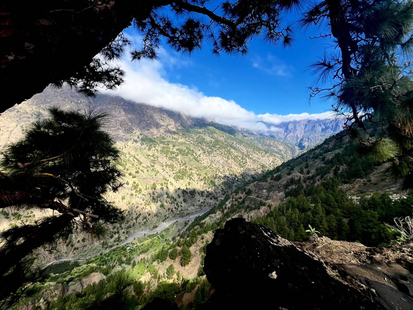 der "Mirador de Cancelita"