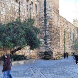 die Außenmauern des Alcazars