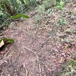 Die Wege zwischen den Lines