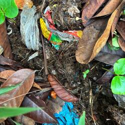 Nochmal mit blauen und gelben Säcken