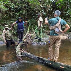 Einmal hin und einmal her...