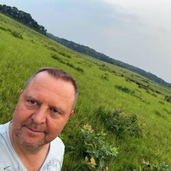 Irgendwo da hinten stehen die Büffel