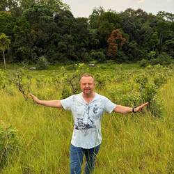 Suchbild - wo ist der Elefant?